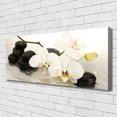 Slika na platnu Beautiful cvet orhideje