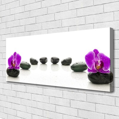 Slika na platnu Orhideje cvet prodniki