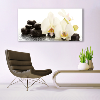 Slika na platnu Bela orhideja cvet