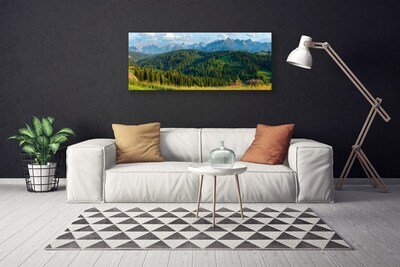 Slika na platnu Mount forest narava