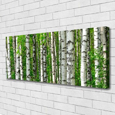 Slika na platnu Narava rastlin forest trees