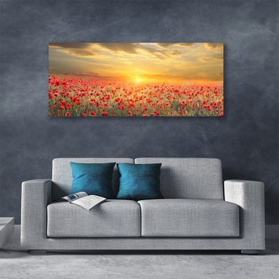 Slika na platnu Sun travnik poppy cvetje