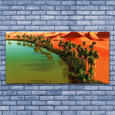 Slika na platnu Lake palm desert