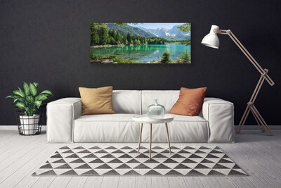 Slika na platnu Narava mountains lake forest
