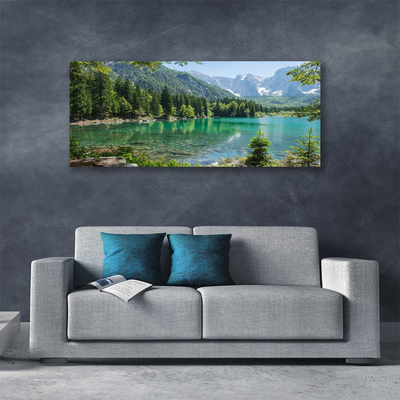 Slika na platnu Narava mountains lake forest