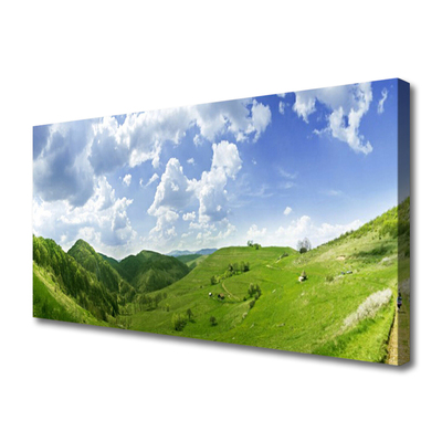 Slika na platnu Mountain travnik narava field