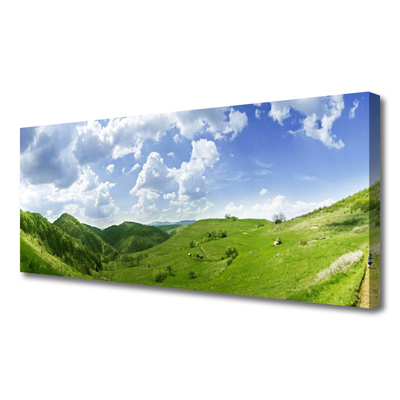 Slika na platnu Mountain travnik narava field