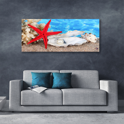 Slika na platnu Starfish školjke narava