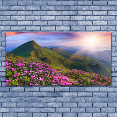 Slika na platnu Mountain travnik flowers landscape