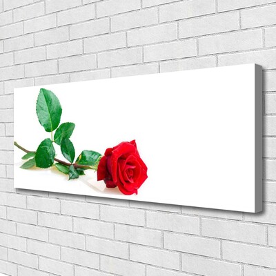 Slika na platnu Rose flower rastlin narava