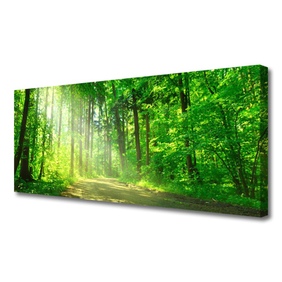 Slika na platnu Gozdna pot drevesa narava
