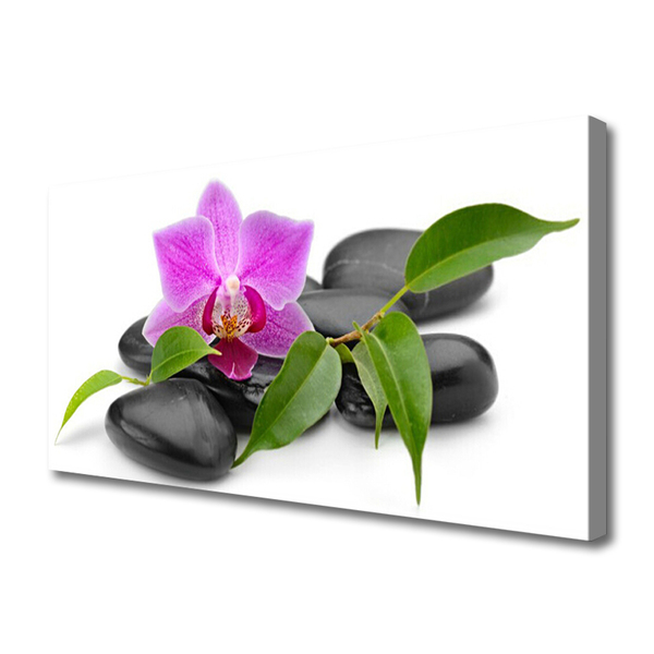 Slika na platnu Orchid flower art