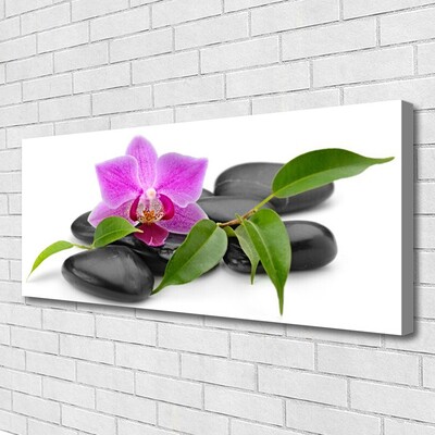 Slika na platnu Orchid flower art