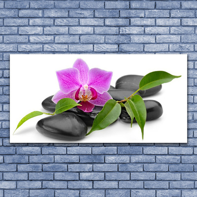 Slika na platnu Orchid flower art