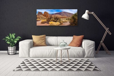Slika na platnu Rastline rocks mountains landscape