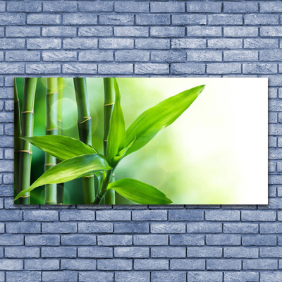 Slika na platnu Bamboo leaf narava rastlin