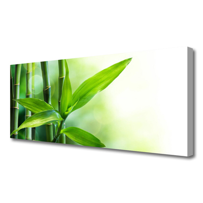 Slika na platnu Bamboo leaf narava rastlin