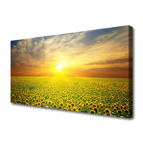 Slika na platnu Sun meadow sončnice