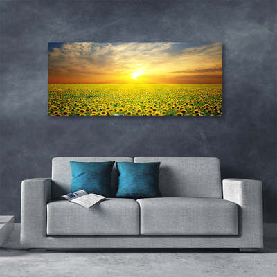 Slika na platnu Sun meadow sončnice