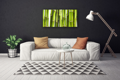 Slika na platnu Bamboo rastlin narava