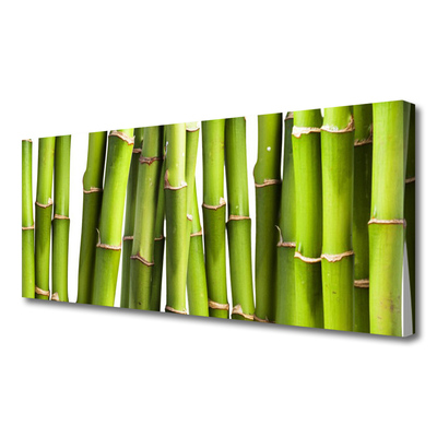 Slika na platnu Bamboo rastlin narava