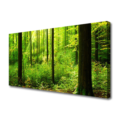 Slika na platnu Green forest trees narava