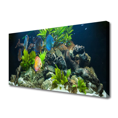 Slika na platnu Fish aquarium narava