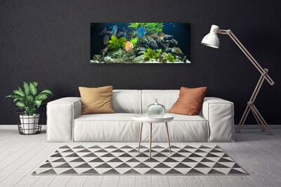 Slika na platnu Fish aquarium narava