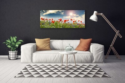 Slika na platnu Sun travnik flowers narava