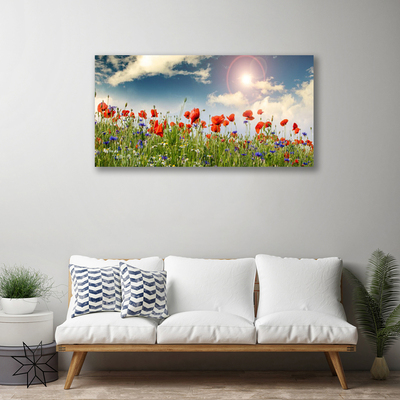 Slika na platnu Sun travnik flowers narava
