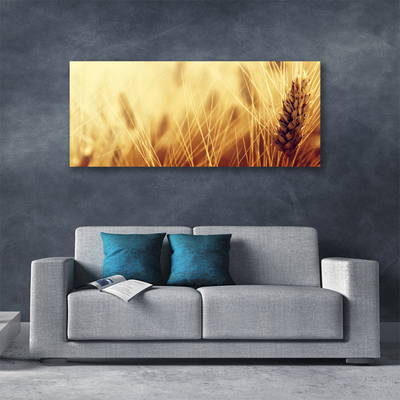 Slika na platnu Pšenica rastlin narava