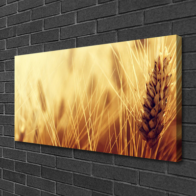 Slika na platnu Pšenica rastlin narava