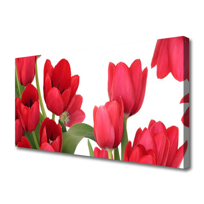 Slika na platnu Tulipani cvetovi rastlin