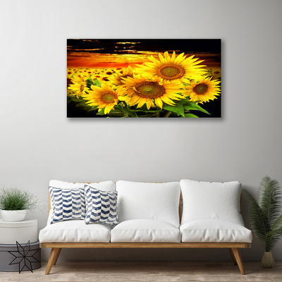 Slika na platnu Sončnica flower rastlin