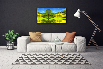 Slika na platnu Drevo travnik narava