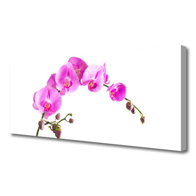 Slika na platnu Cvetovi rastlin narava
