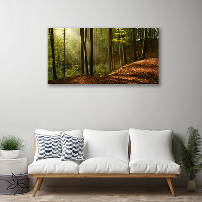 Slika na platnu Gozdna drevesa narava