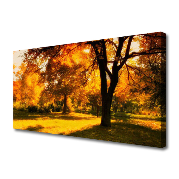 Slika na platnu Drevesa jesen narava