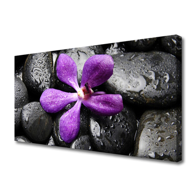 Slika na platnu Flower stones art