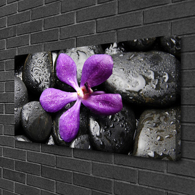 Slika na platnu Flower stones art