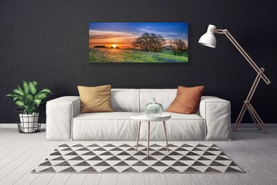 Slika na platnu Sun travnik landscape