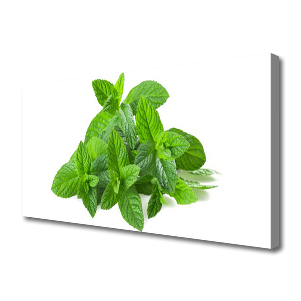 Slika na platnu Mint rastlin narava