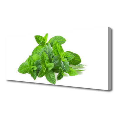 Slika na platnu Mint rastlin narava