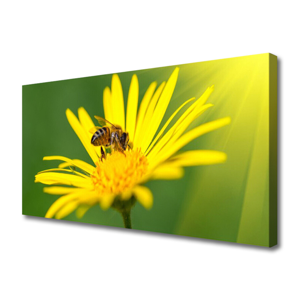 Slika na platnu Bee flower narava