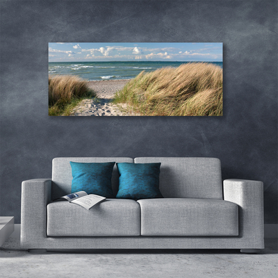 Slika na platnu Plaža sea grass landscape