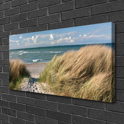 Slika na platnu Plaža sea grass landscape