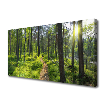 Slika na platnu Gozdna pot lane narava