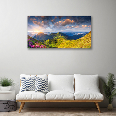 Slika na platnu Sun mountain travnik landscape
