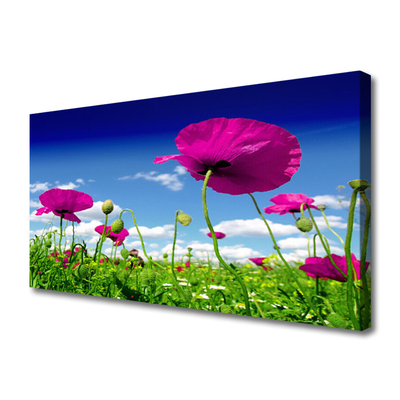 Slika na platnu Sky travnik flowers narava