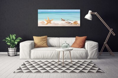 Slika na platnu Starfish školjke beach